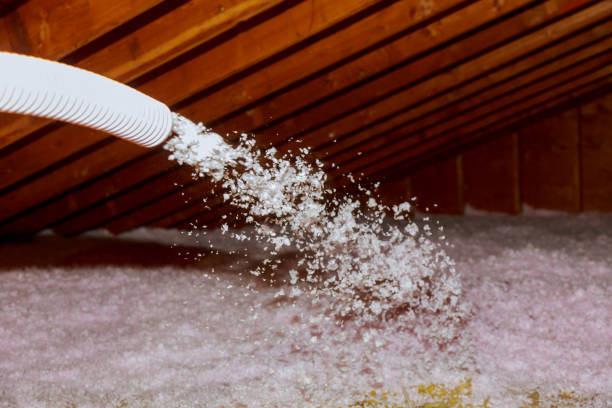 Types of Insulation We Offer in Arcadia, FL