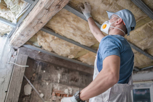 Best Specialized Insulation Services in Arcadia, FL