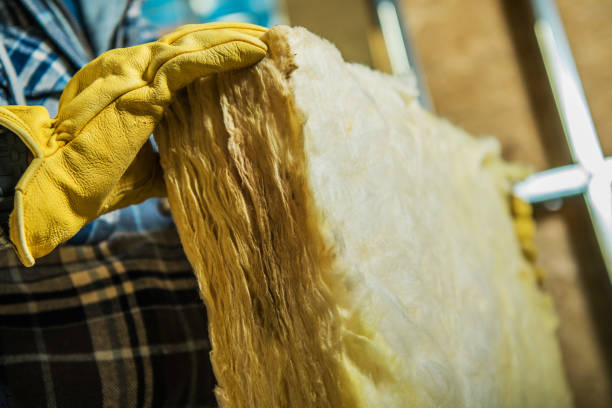 Best Residential Insulation in Arcadia, FL